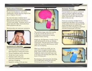 Peck_bitefxBrochure-2